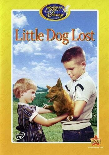 Little Dog Lost poster