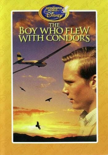 The Boy Who Flew With Condors poster