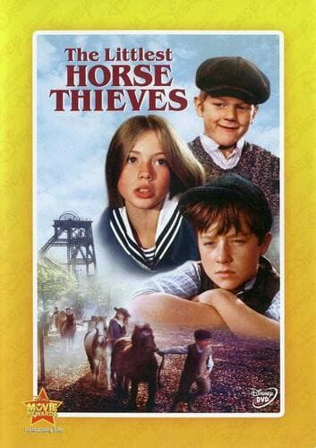 The Littlest Horse Thieves poster