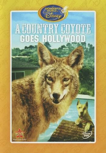 A Country Coyote Goes Hollywood poster