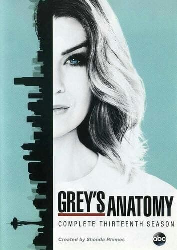 Grey's Anatomy: The Complete Thirteenth Season poster