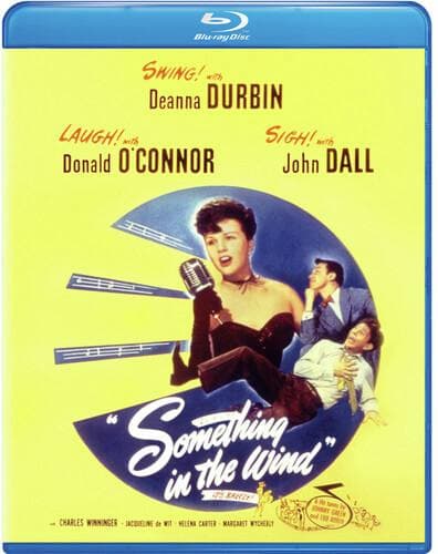 Something in the Wind poster