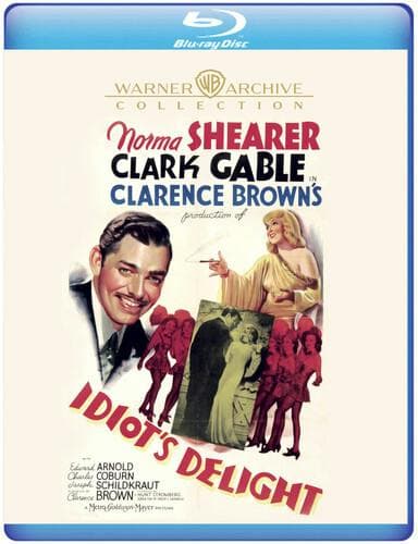 Idiot's Delight poster