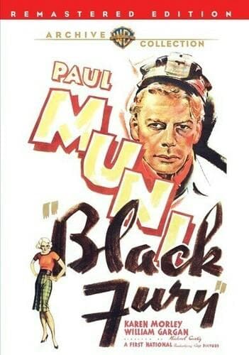 Black Fury poster