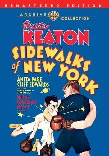 Sidewalks of New York poster
