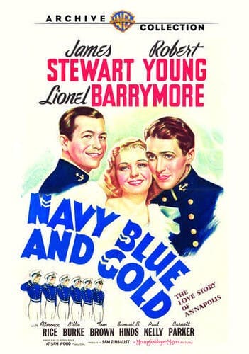 Navy Blue and Gold poster