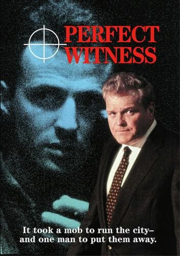 Perfect Witness poster