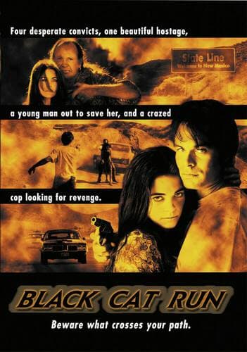 Black Cat Run poster