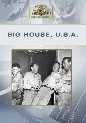 Big House, U S A poster