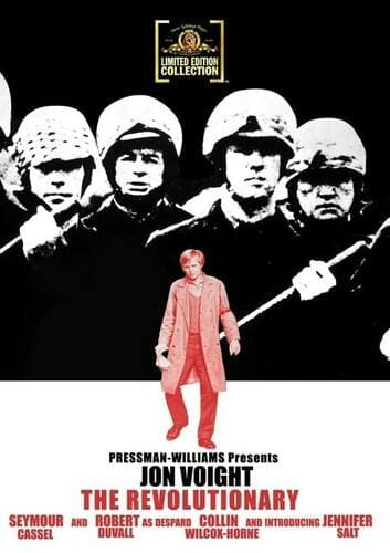 The Revolutionary poster