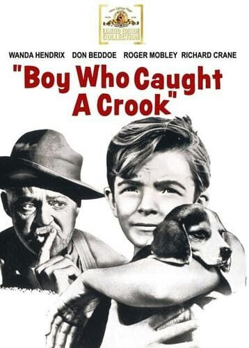 Boy Who Caught A Crook poster