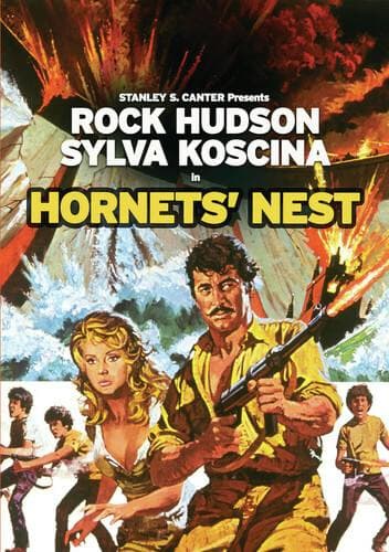Hornet's Nest poster