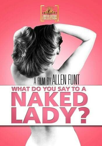 What Do You Say To A Naked Lady? poster