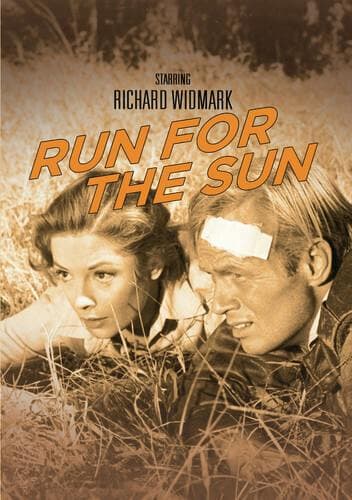 Run For The Sun poster