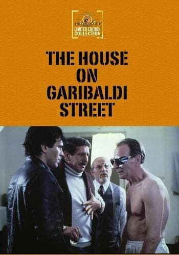 House On Garabaldi Street, The poster