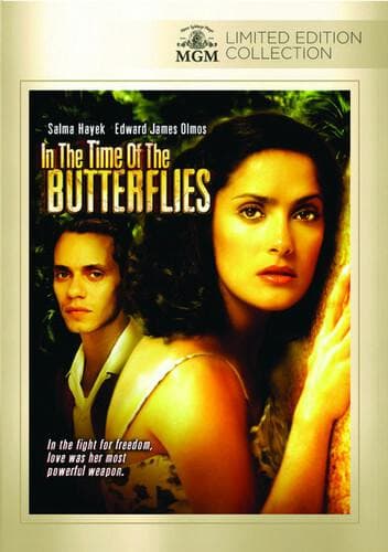 In The Time Of Butterflies poster