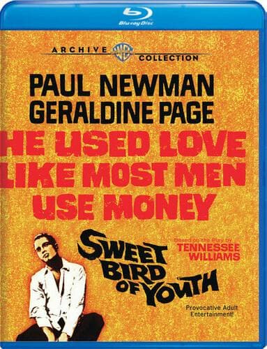Sweet Bird of Youth poster