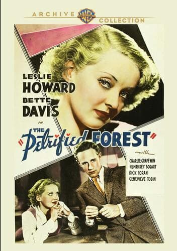 Petrified Forest, The poster