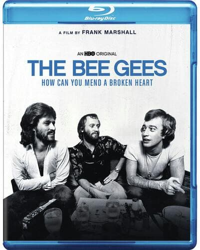 The Bee Gees: Mend Broken Heart poster