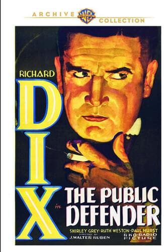 Public Defender poster