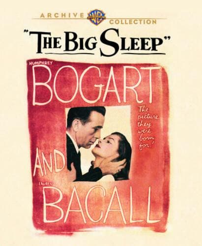 Big Sleep,The poster