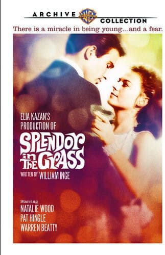 Splendor in the Grass poster