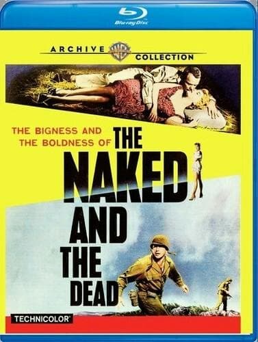 Naked and the Dead, The poster