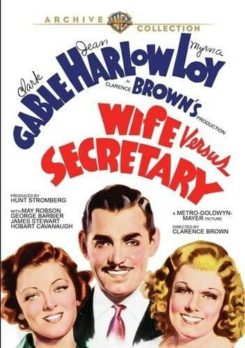 Wife Vs. Secretary poster