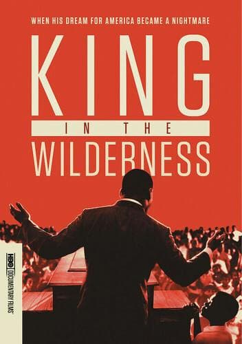 King in the Wilderness poster