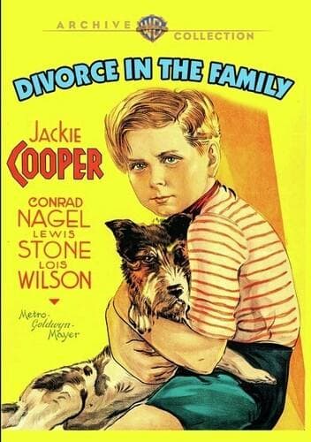 Divorce In The Family poster