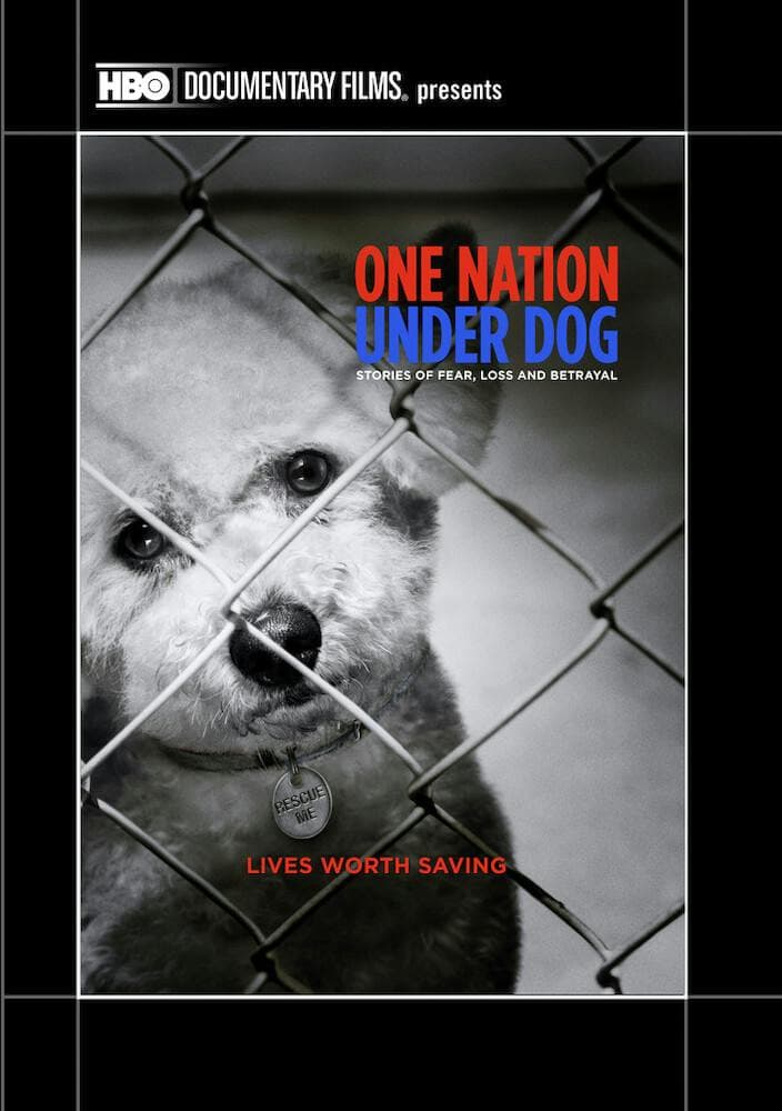 One Nation Under Dog: Stories of Fear Loss and Betrayal poster