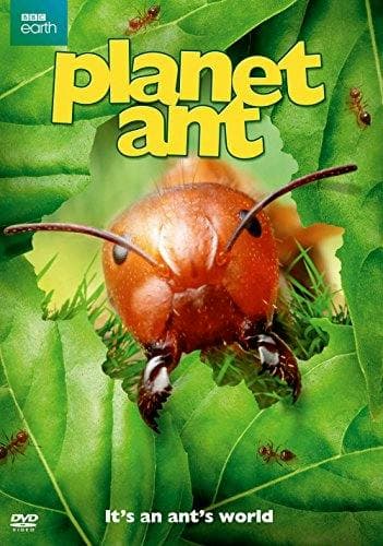 Planet Ant poster