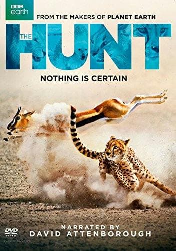 The Hunt poster