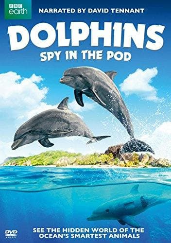 Dolphins: Spy in the Pod poster