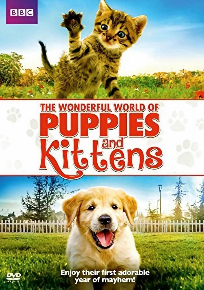 Wonderful World of Puppies & Kittens poster