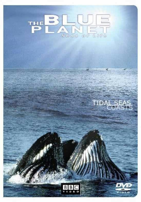 The Blue Planet: Seas of Life - Tidal Seas/Coasts poster