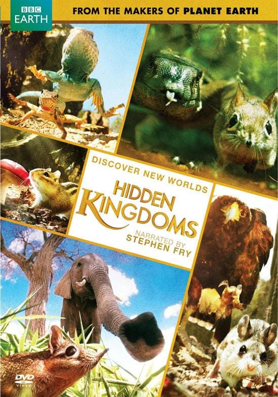 Hidden Kingdoms poster