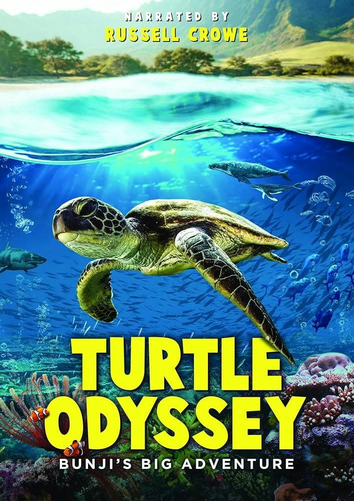 Turtle Odyssey poster