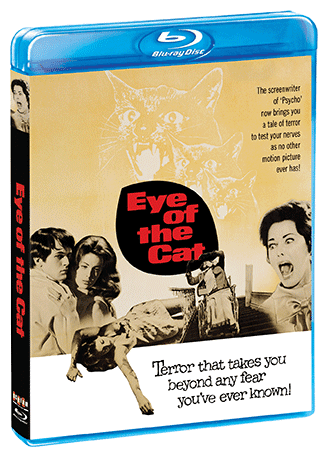 Eye Of The Cat poster